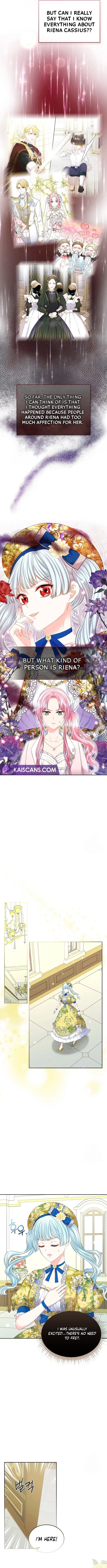 Read I Will Divorce the Female Lead’s Siscon Brother Manga Online
