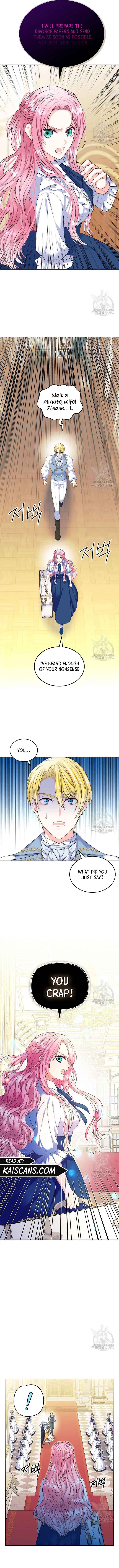 Read I Will Divorce the Female Lead’s Siscon Brother Manga Online