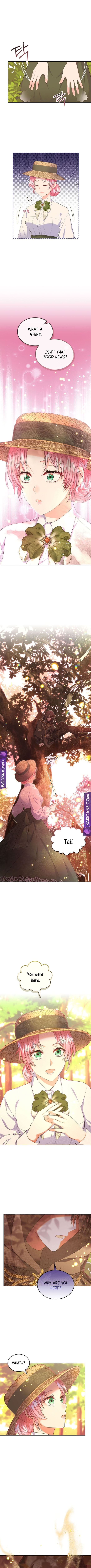 Read I Will Divorce the Female Lead’s Siscon Brother Manga Online