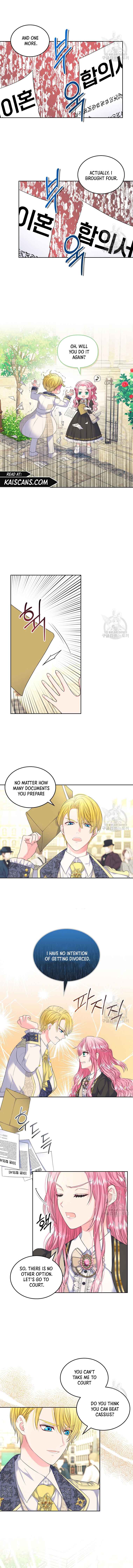 Read I Will Divorce the Female Lead’s Siscon Brother Manga Online