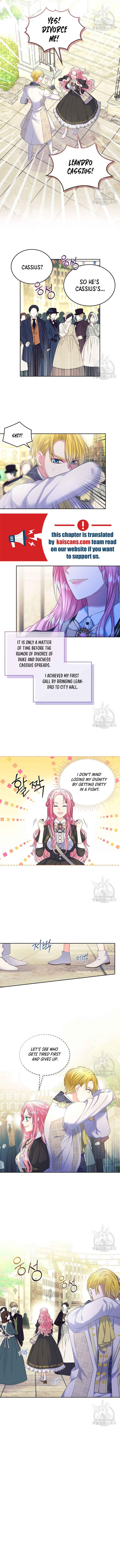 Read I Will Divorce the Female Lead’s Siscon Brother Manga Online