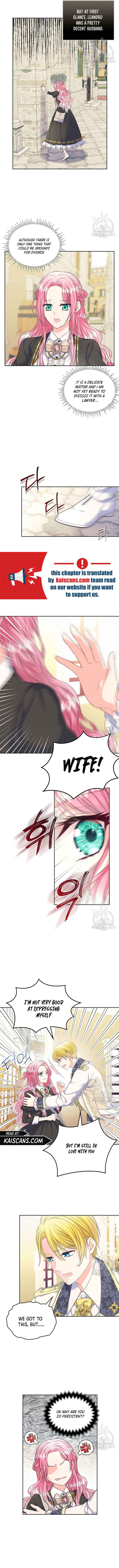 Read I Will Divorce the Female Lead’s Siscon Brother Manga Online