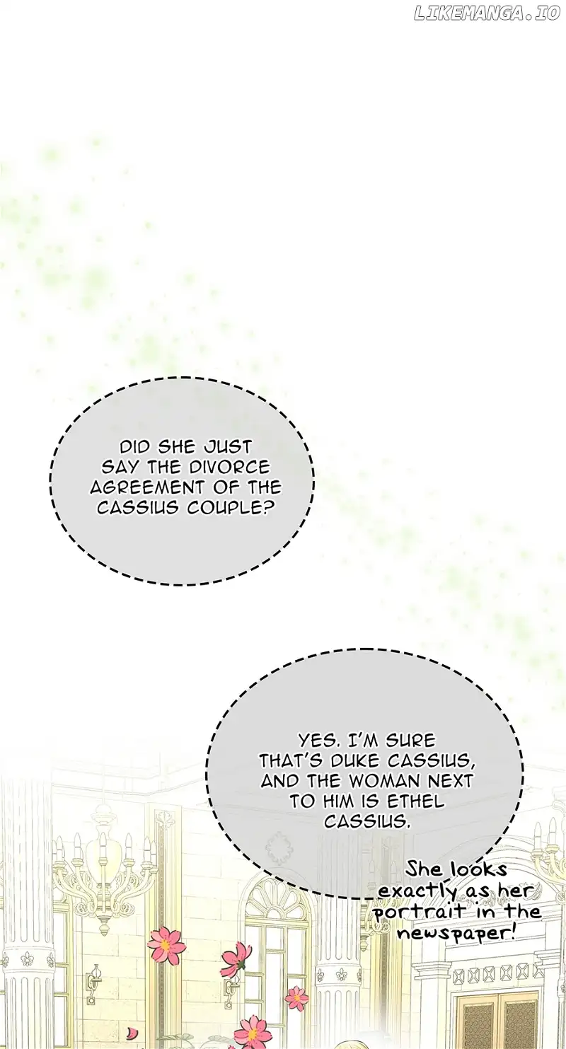 Read I Will Divorce the Female Lead’s Siscon Brother Manga Online