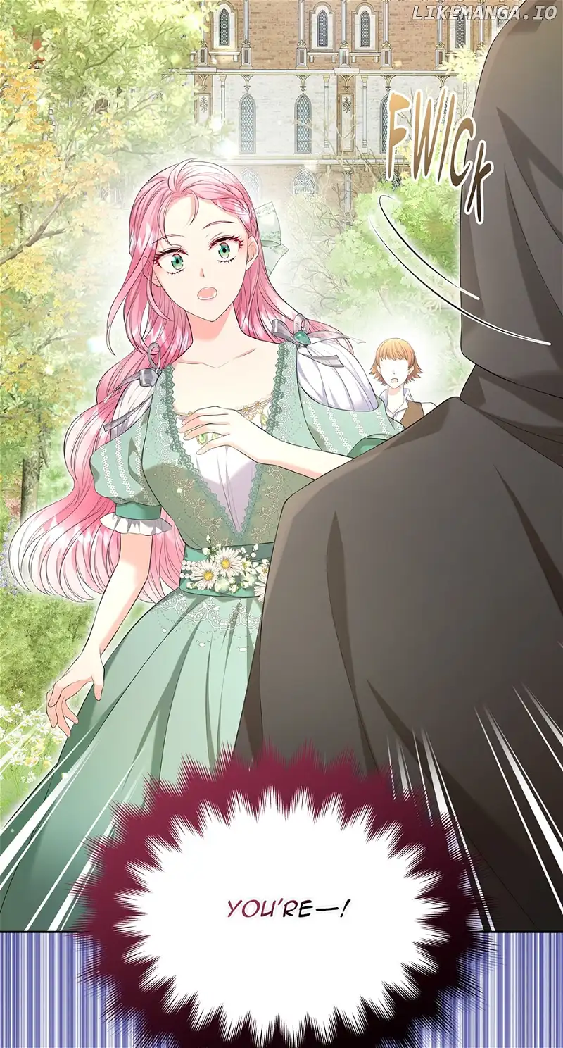 Read I Will Divorce the Female Lead’s Siscon Brother Manga Online