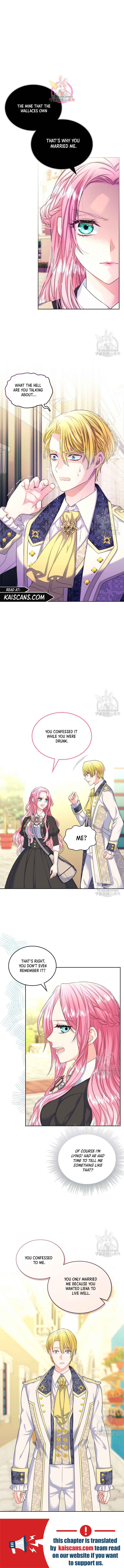 Read I Will Divorce the Female Lead’s Siscon Brother Manga Online