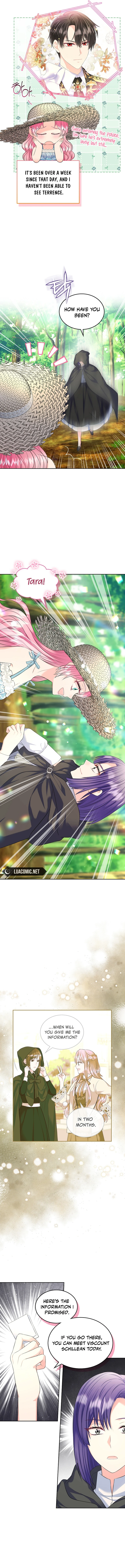 Read I Will Divorce the Female Lead’s Siscon Brother Manga Online