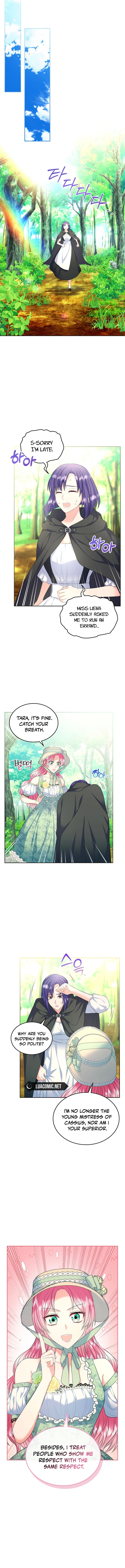 Read I Will Divorce the Female Lead’s Siscon Brother Manga Online