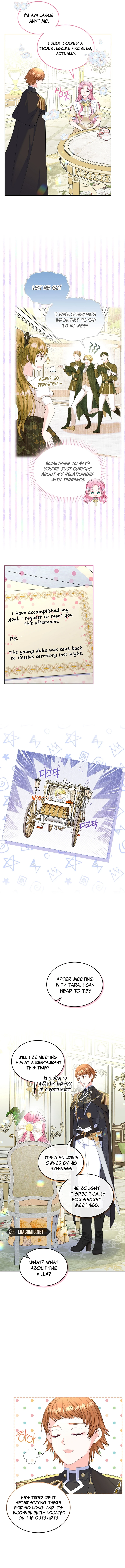 Read I Will Divorce the Female Lead’s Siscon Brother Manga Online