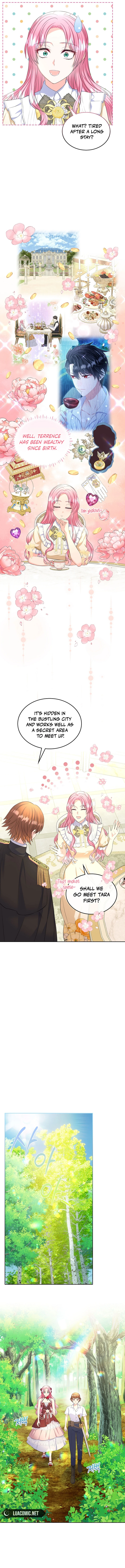 Read I Will Divorce the Female Lead’s Siscon Brother Manga Online