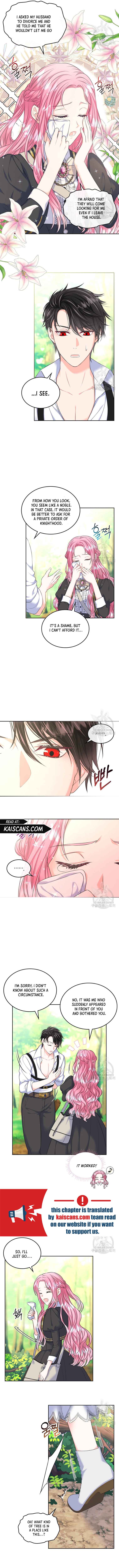 Read I Will Divorce the Female Lead’s Siscon Brother Manga Online