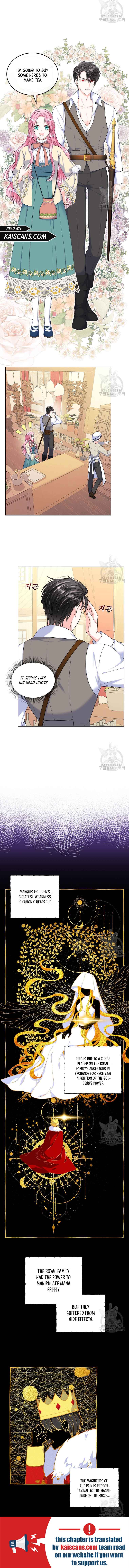 Read I Will Divorce the Female Lead’s Siscon Brother Manga Online