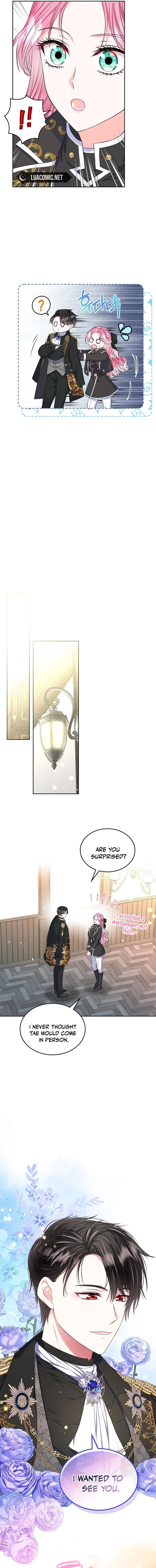 Read I Will Divorce the Female Lead’s Siscon Brother Manga Online