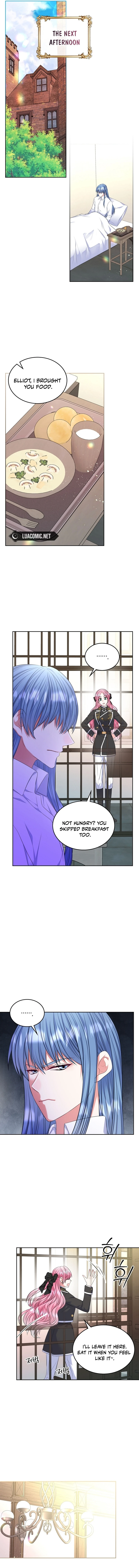 Read I Will Divorce the Female Lead’s Siscon Brother Manga Online