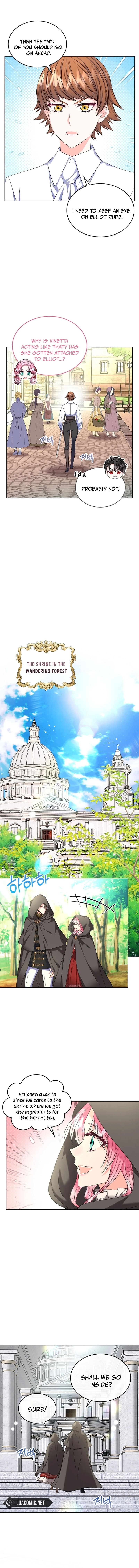 Read I Will Divorce the Female Lead’s Siscon Brother Manga Online