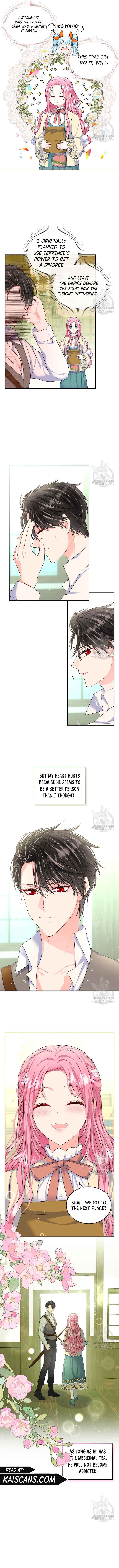 Read I Will Divorce the Female Lead’s Siscon Brother Manga Online