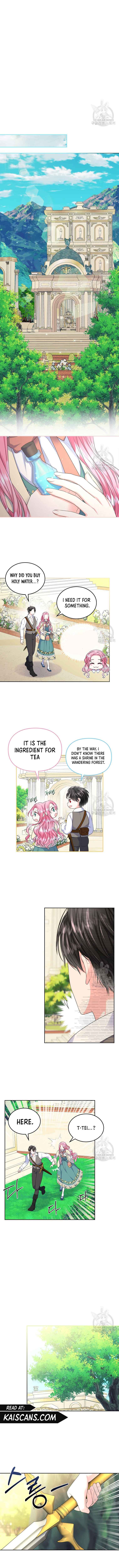 Read I Will Divorce the Female Lead’s Siscon Brother Manga Online