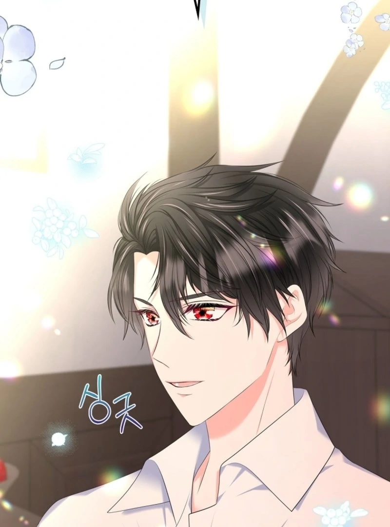 Read I Will Divorce the Female Lead’s Siscon Brother Manga Online