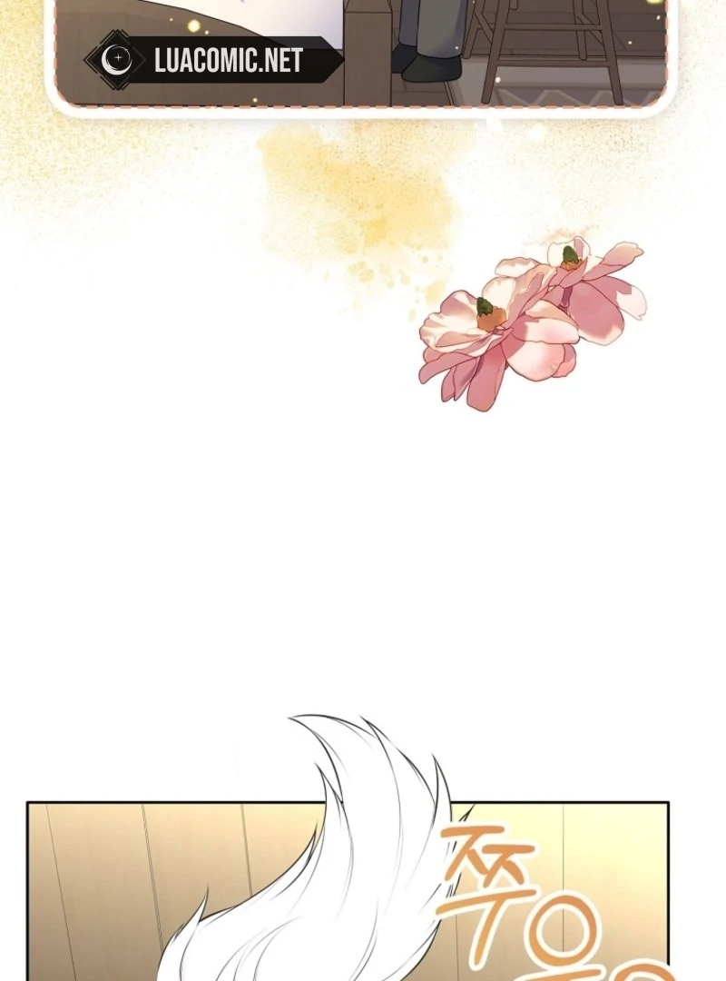Read I Will Divorce the Female Lead’s Siscon Brother Manga Online