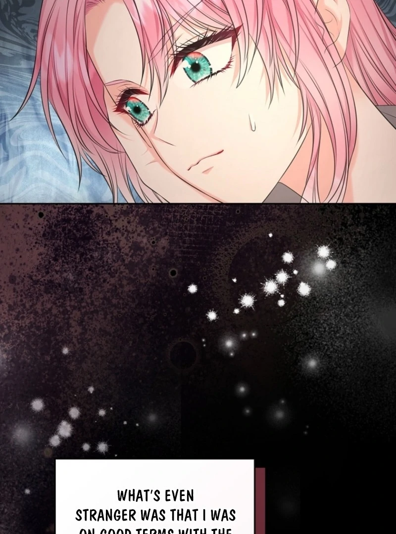Read I Will Divorce the Female Lead’s Siscon Brother Manga Online