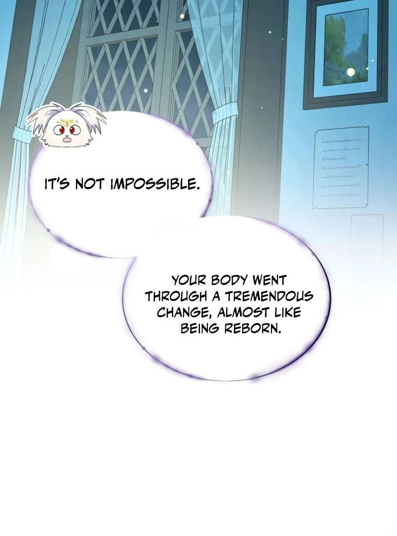 Read I Will Divorce the Female Lead’s Siscon Brother Manga Online