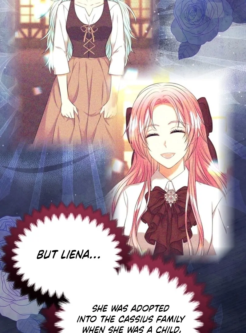 Read I Will Divorce the Female Lead’s Siscon Brother Manga Online