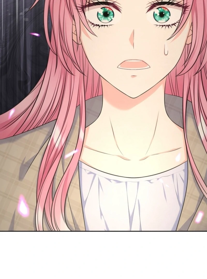 Read I Will Divorce the Female Lead’s Siscon Brother Manga Online