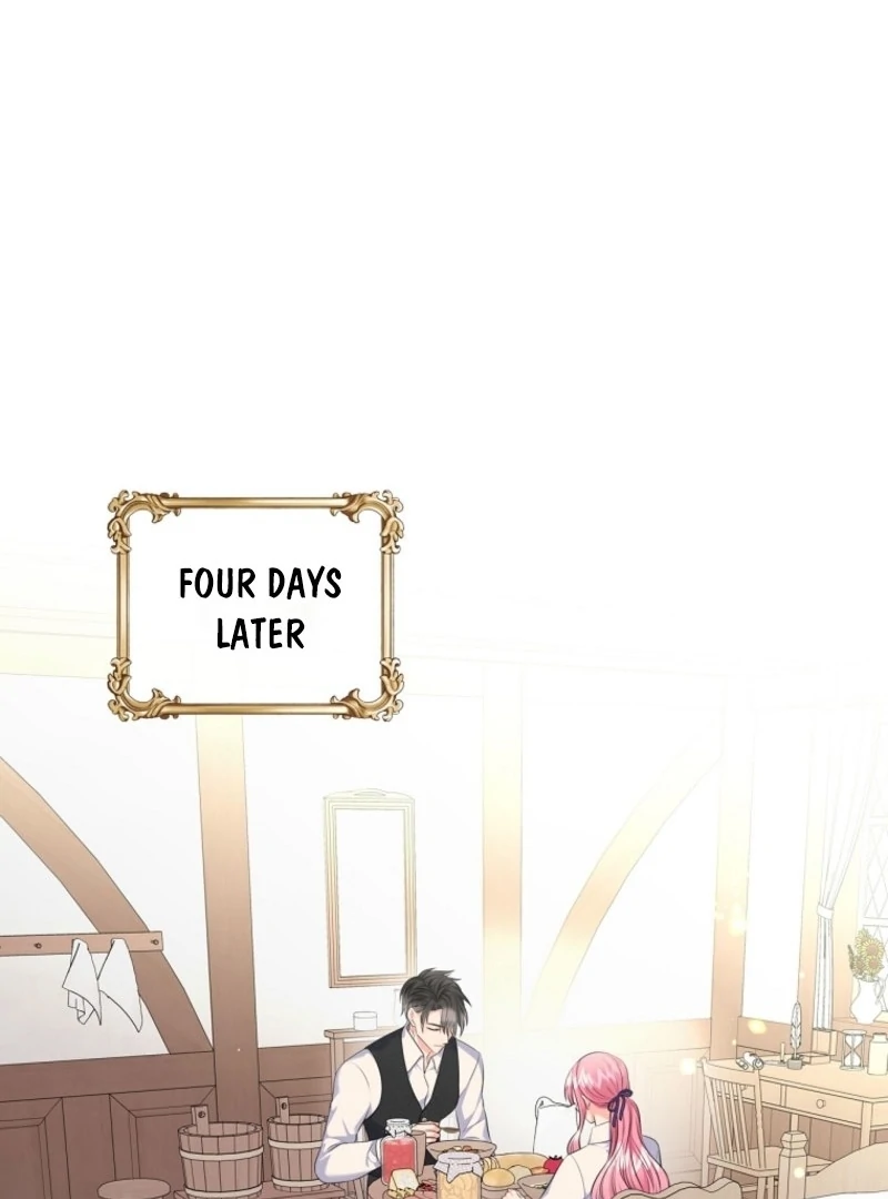Read I Will Divorce the Female Lead’s Siscon Brother Manga Online