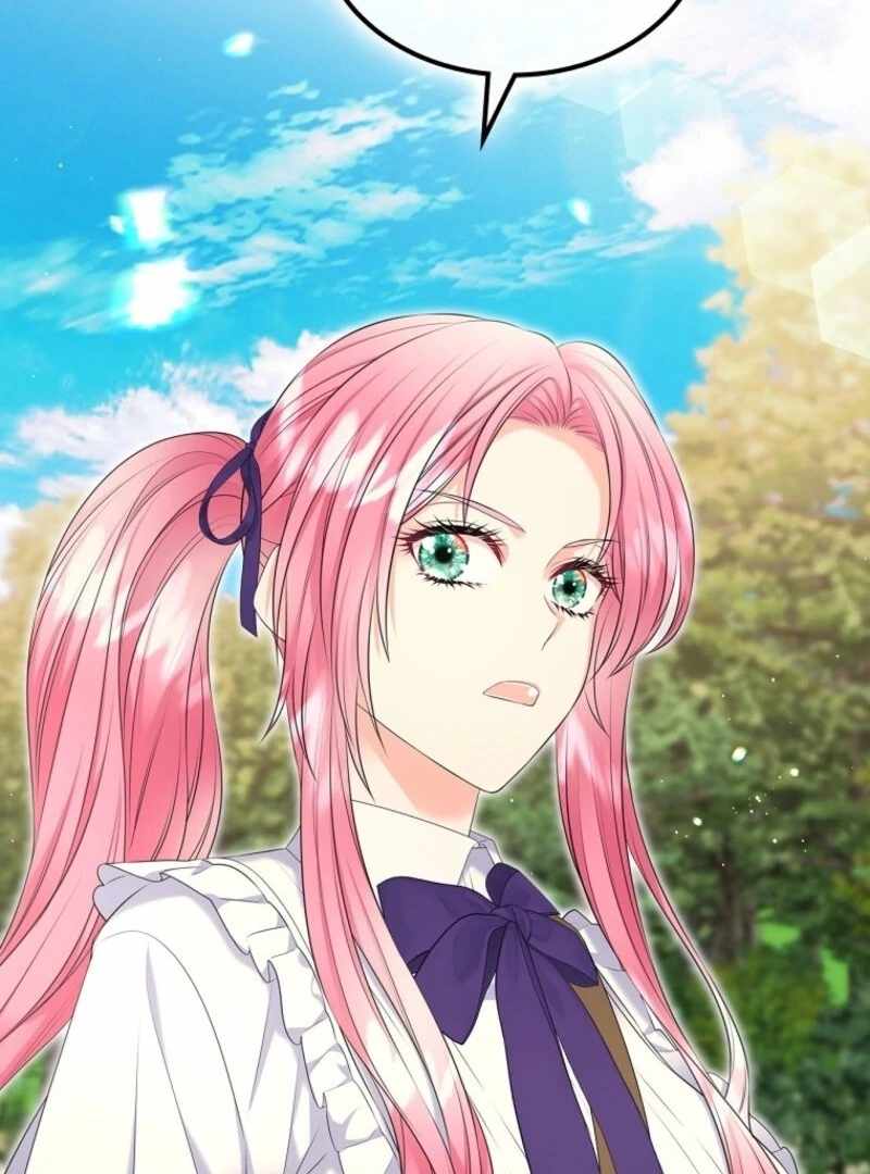 Read I Will Divorce the Female Lead’s Siscon Brother Manga Online