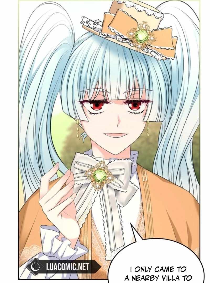 Read I Will Divorce the Female Lead’s Siscon Brother Manga Online