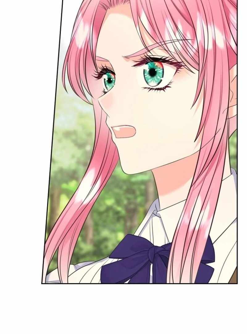 Read I Will Divorce the Female Lead’s Siscon Brother Manga Online