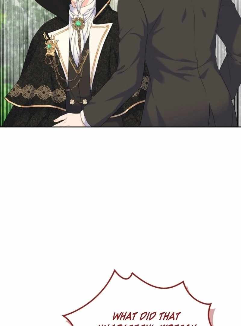 Read I Will Divorce the Female Lead’s Siscon Brother Manga Online