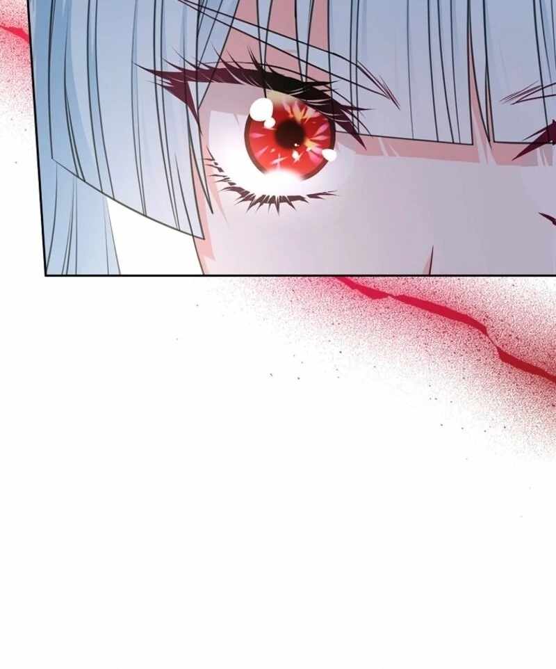 Read I Will Divorce the Female Lead’s Siscon Brother Manga Online