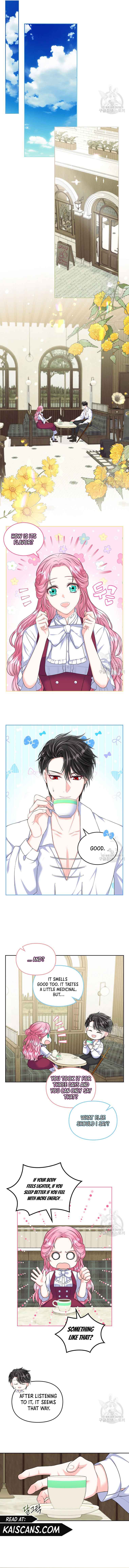 Read I Will Divorce the Female Lead’s Siscon Brother Manga Online