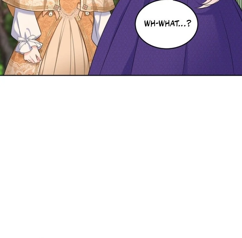 Read I Will Divorce the Female Lead’s Siscon Brother Manga Online