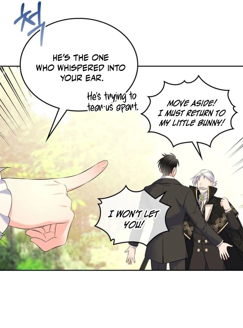 Read I Will Divorce the Female Lead’s Siscon Brother Manga Online