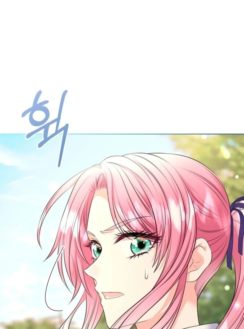 Read I Will Divorce the Female Lead’s Siscon Brother Manga Online