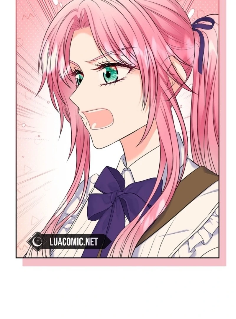 Read I Will Divorce the Female Lead’s Siscon Brother Manga Online