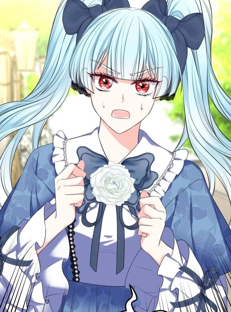 Read I Will Divorce the Female Lead’s Siscon Brother Manga Online