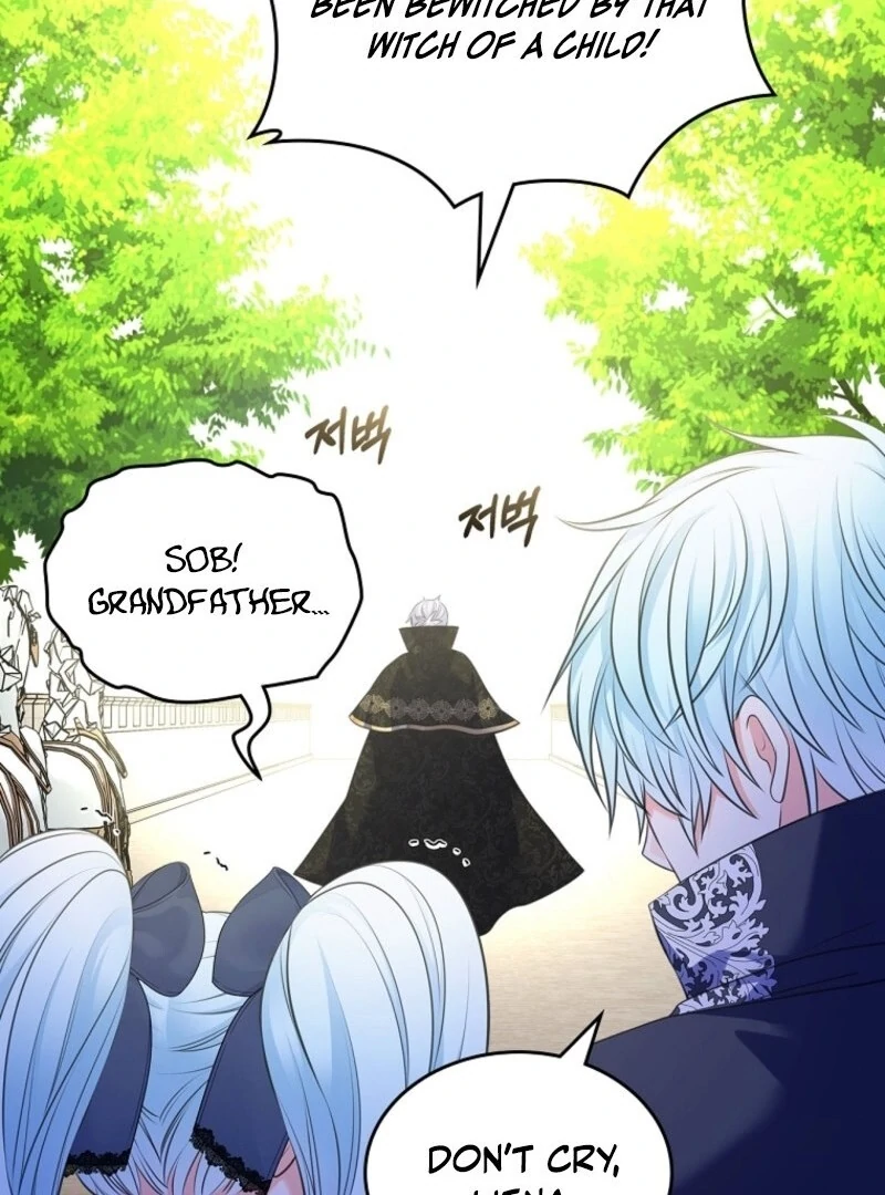 Read I Will Divorce the Female Lead’s Siscon Brother Manga Online