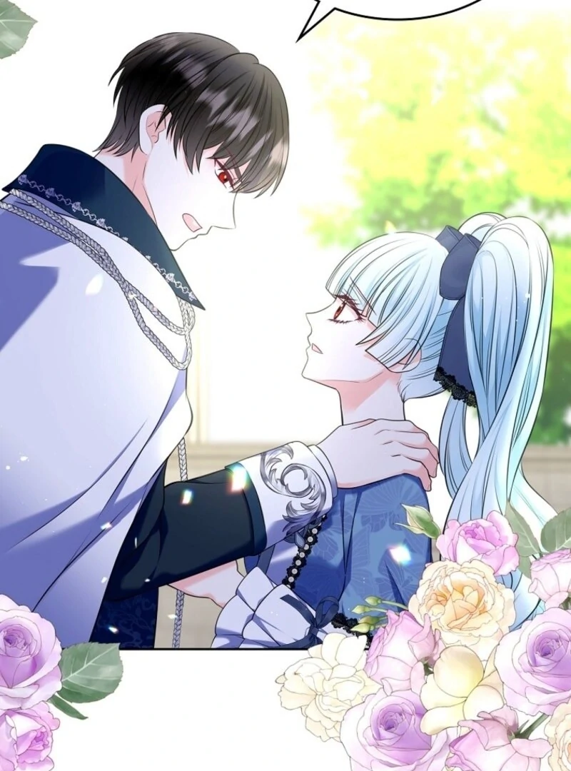 Read I Will Divorce the Female Lead’s Siscon Brother Manga Online