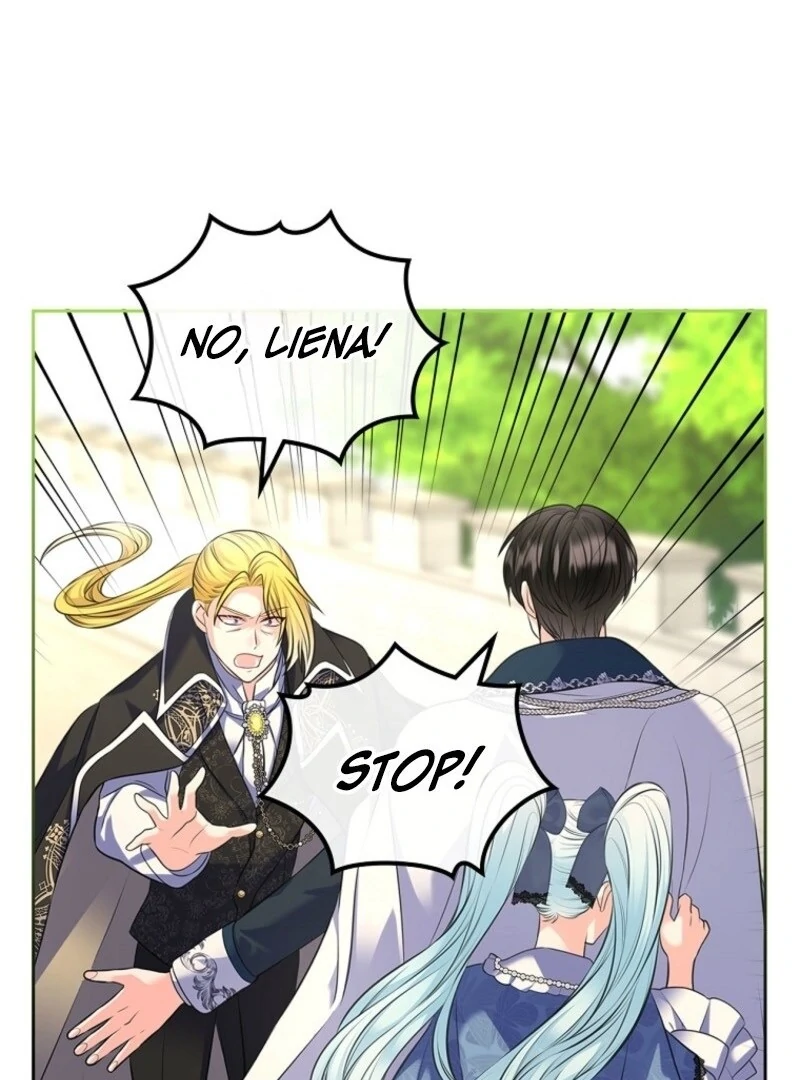 Read I Will Divorce the Female Lead’s Siscon Brother Manga Online