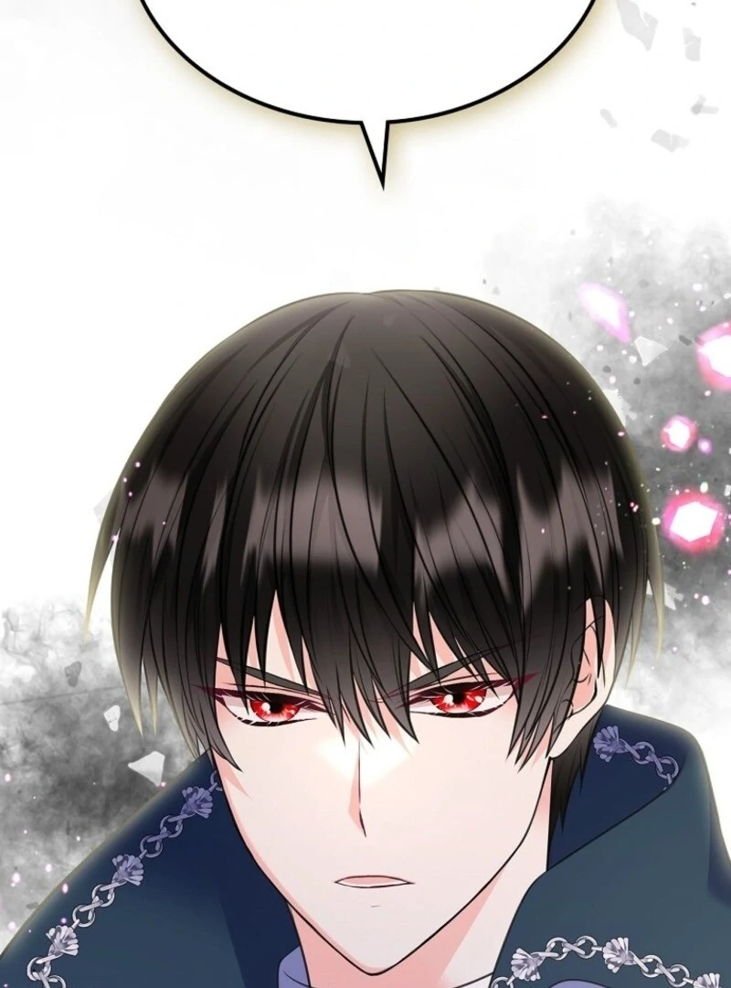 Read I Will Divorce the Female Lead’s Siscon Brother Manga Online