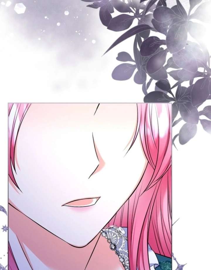 Read I Will Divorce the Female Lead’s Siscon Brother Manga Online