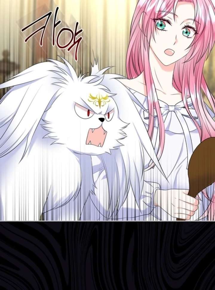 Read I Will Divorce the Female Lead’s Siscon Brother Manga Online