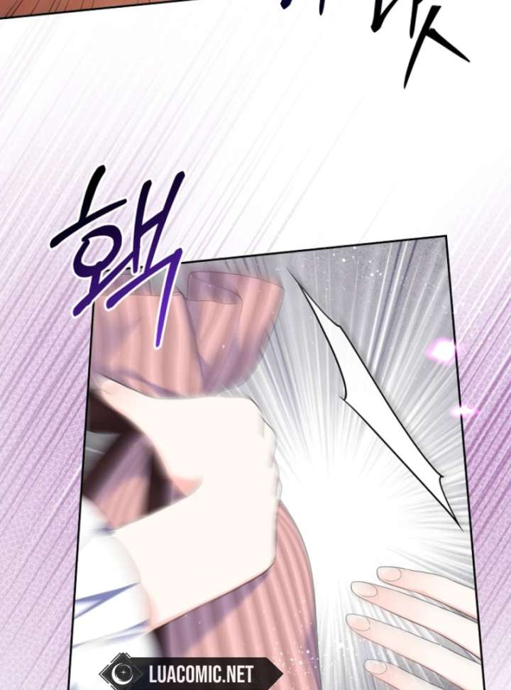 Read I Will Divorce the Female Lead’s Siscon Brother Manga Online