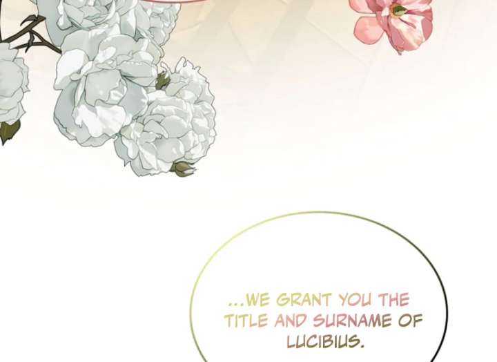 Read I Will Divorce the Female Lead’s Siscon Brother Manga Online