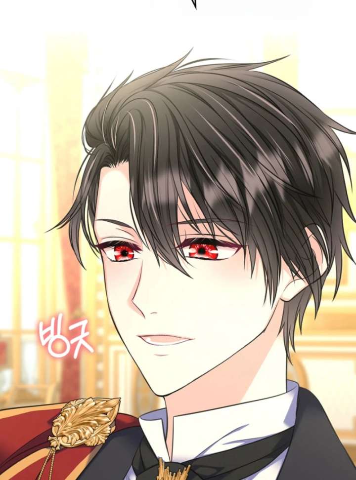 Read I Will Divorce the Female Lead’s Siscon Brother Manga Online