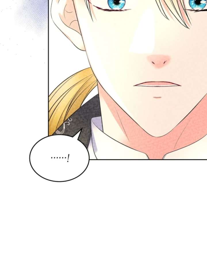 Read I Will Divorce the Female Lead’s Siscon Brother Manga Online