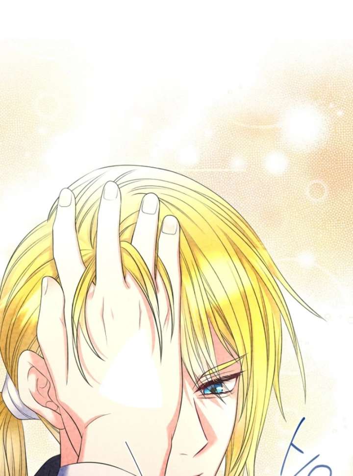 Read I Will Divorce the Female Lead’s Siscon Brother Manga Online