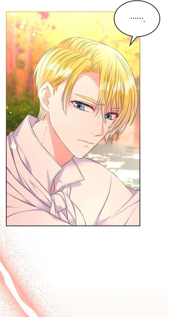 Read I Will Divorce the Female Lead’s Siscon Brother Manga Online